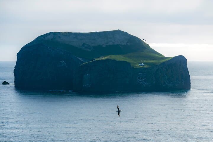 Vestmannaeyjar Private Day Tour: Puffins, Eldfell Volcano & Heimaey Hidden Gems photo 6