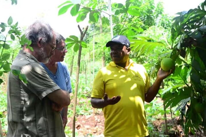 Full-Day Jozani Village Cultural Tour: Pangoni Caves, Canoe Ride & Village Life
