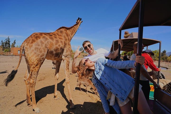 Safari Park near Santiago: Guided Big-Cat and Herbivore Safaris from Santiago