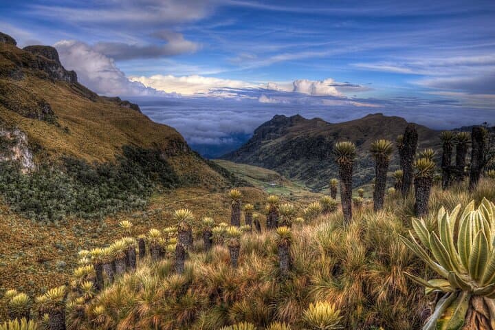Chingaza Páramo Day Tour from Bogotá — Guided Visit to Glacial Lagoons photo 5
