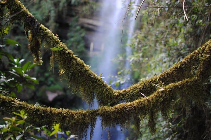 Hiking La Chorrera: Colombia's Tallest Waterfall Day Hike from Bogotá photo 3