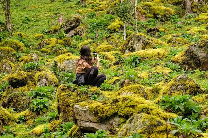 Hiking La Chorrera: Colombia's Tallest Waterfall Day Hike from Bogotá photo 4