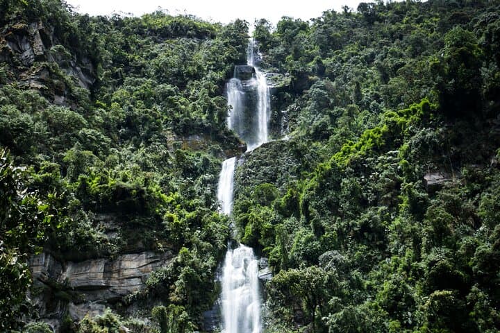 Hiking La Chorrera: Colombia's Tallest Waterfall Day Hike from Bogotá photo 5