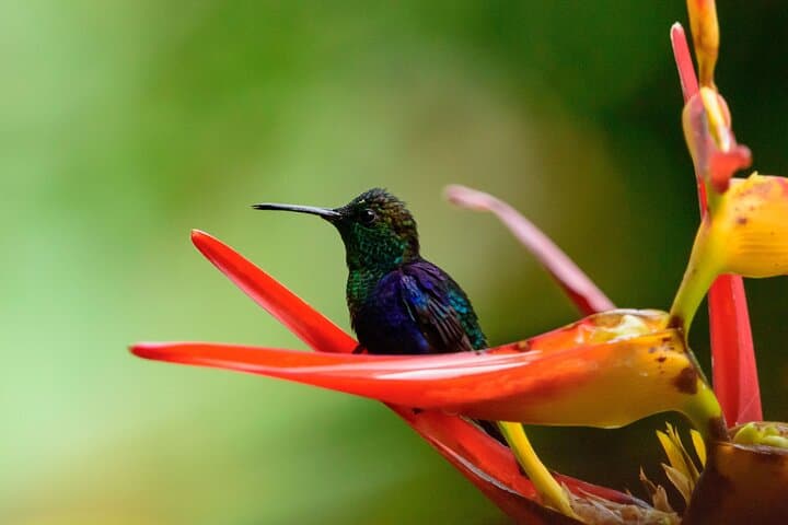 Hiking La Chorrera: Colombia's Tallest Waterfall Day Hike from Bogotá photo 6