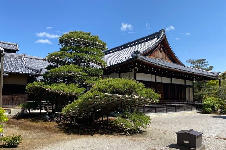 Private Kyoto Day Tour from Osaka — Gion, Fushimi Inari & Kiyomizu-dera photo 5