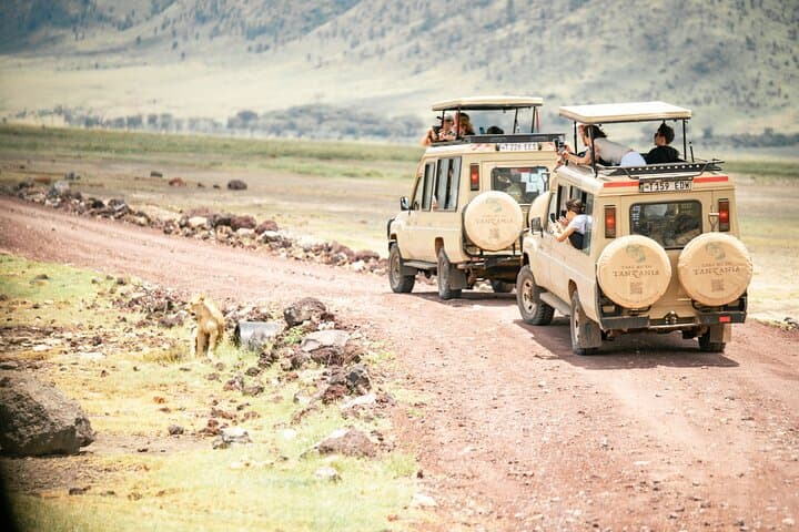 Ngorongoro Crater Day Trip: Full-Day Safari from Arusha photo 5