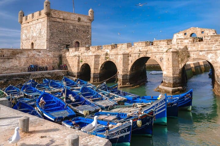 Essaouira Day Trip from Marrakech — Coastal Adventure & Medina Walk photo 6