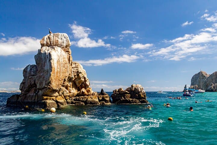 Snorkel Pelican Rock Cabo San Lucas: Glass-Bottom Boat Tour, Snorkeling & Photos photo 2