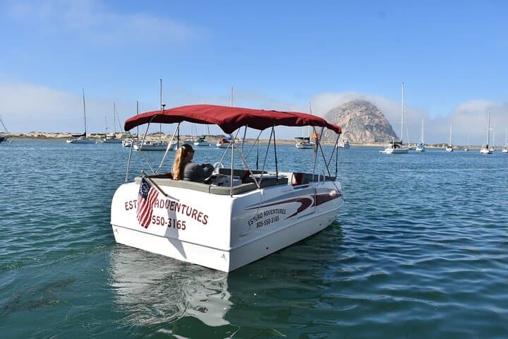 Electric Pontoon Cruise in Morro Bay: 2-Hour Self-Drive Boat Rental