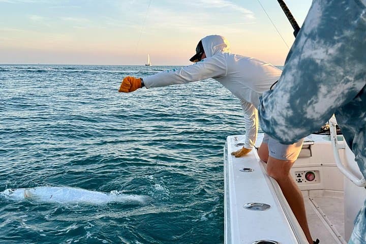 Sunset Tarpon Charter in Key West — 4-Hour Seasonal Tarpon Fishing photo 3