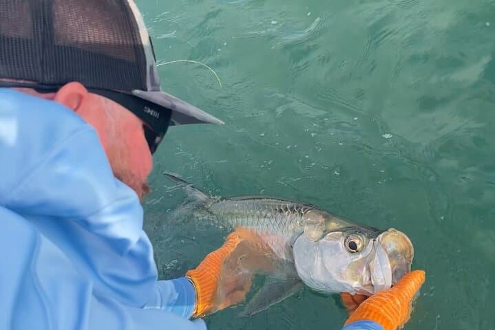 Sunset Tarpon Charter in Key West — 4-Hour Seasonal Tarpon Fishing photo 4