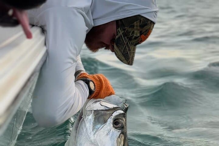 Sunset Tarpon Charter in Key West — 4-Hour Seasonal Tarpon Fishing