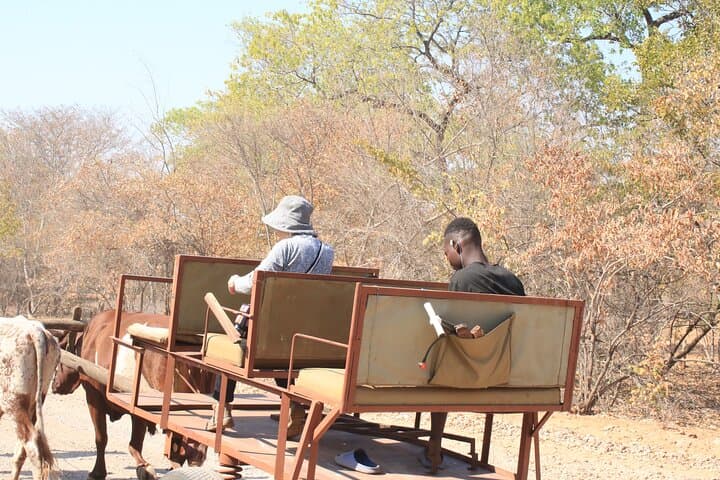 Monde Village Tour Victoria Falls: Authentic Zimbabwean Village Experience photo 2