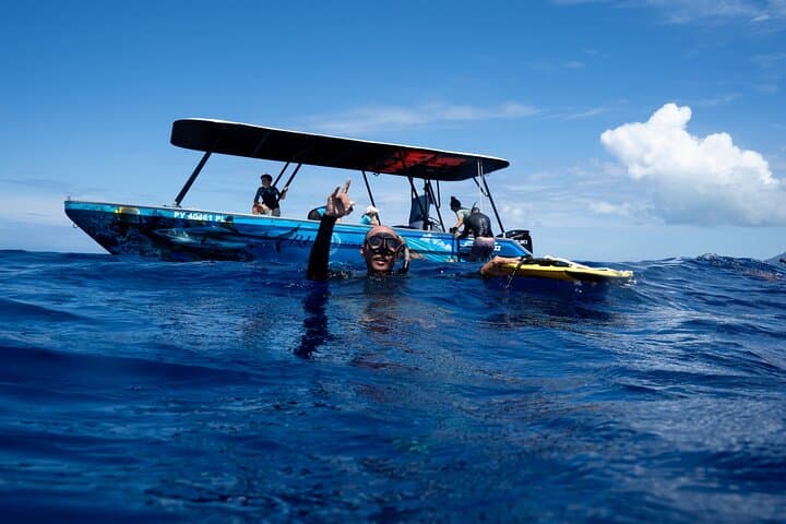 Swim with Humpback Whales in Moorea — Small‑Group, Respectful Ocean Encounter photo 2