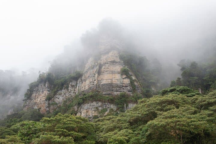 Chicaque Cloud Forest Day Hike — Private Tour with Guide & Tickets photo 3