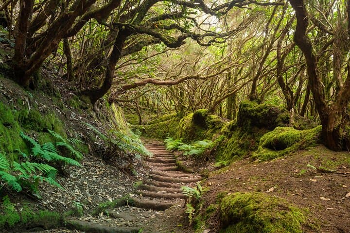 Chicaque Cloud Forest Day Hike — Private Tour with Guide & Tickets photo 4