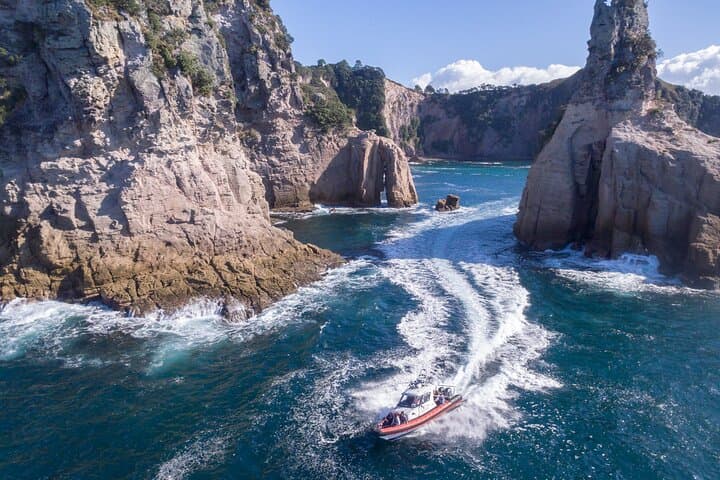 Whitianga to Cathedral Cove: 2‑Hour Scenic Cruise to Orua Sea Cave & Snorkel