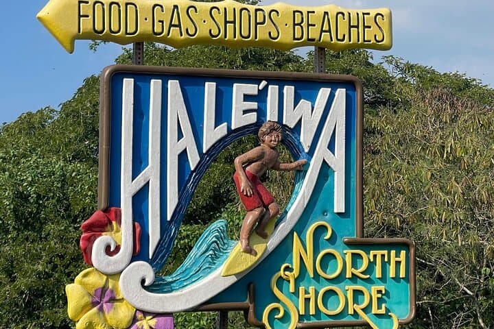 Oahu North Shore Private Tour: Waimea Falls, Dole Plantation & Turtle Beaches photo 3