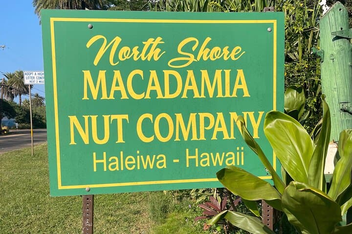 Oahu North Shore Private Tour: Waimea Falls, Dole Plantation & Turtle Beaches photo 4