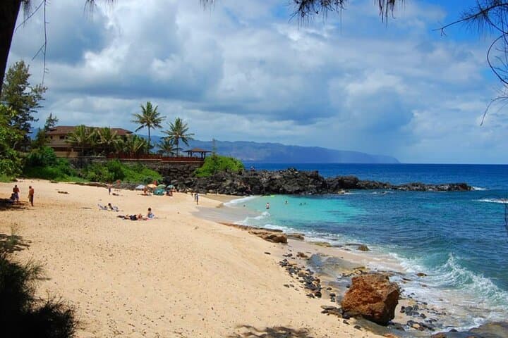 Oahu North Shore Private Tour: Waimea Falls, Dole Plantation & Turtle Beaches