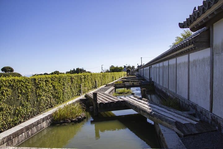 Shimizu Port to Kakegawa: Day Tour to Kakegawa Kachōen and Fujinokuni Tea Museum photo 3