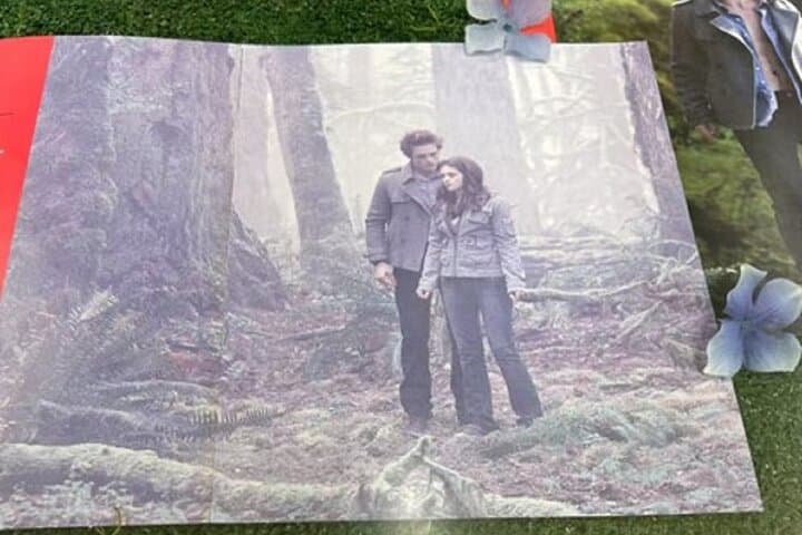 Forks & Olympic National Park Twilight Day Tour from Seattle photo 5
