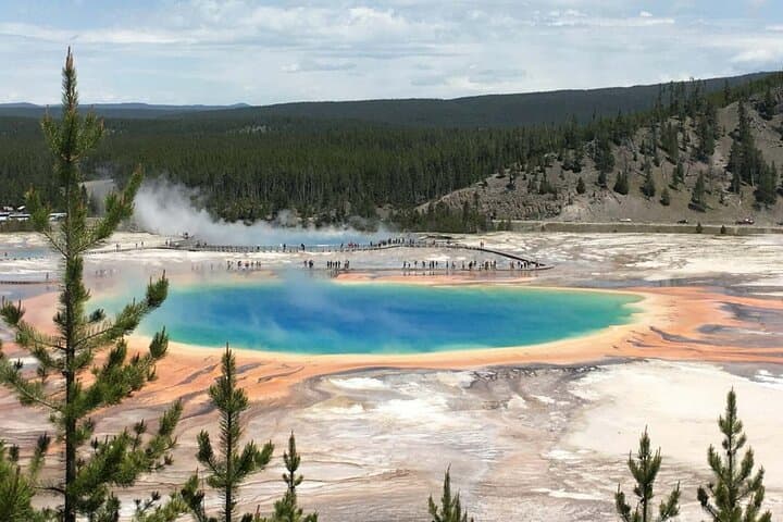 Yellowstone National Park Full-Day Private Guided Tour: Explore Geysers, Wildlife & Volcanic Landscapes photo 2