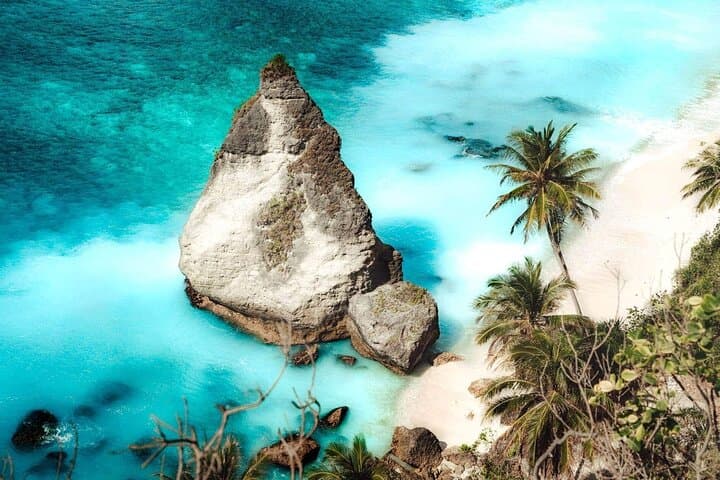 Nusa Penida Day Tour from Bali — Kelingking, Diamond Beach & Tree House photo 3