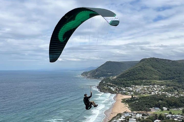 South Coast Private Tour from Sydney: Sea Cliff Bridge, Royal National Park & Symbio Wildlife Park