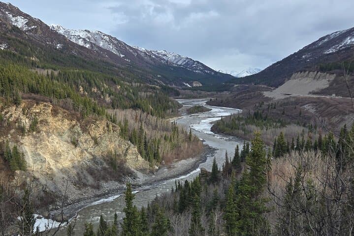 Denali National Park Shuttle: Easy Transit from Fairbanks to Denali's Heart
