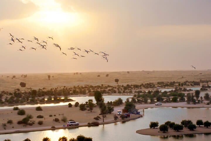 Desert Evenings: Love Lake & Flamingo Lake with Al Hadheerah Dinner Show photo 2