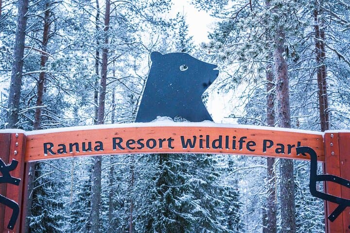 Ranua Wildlife Park Photography Tour: Arctic Animal Photo Safari from Rovaniemi photo 5