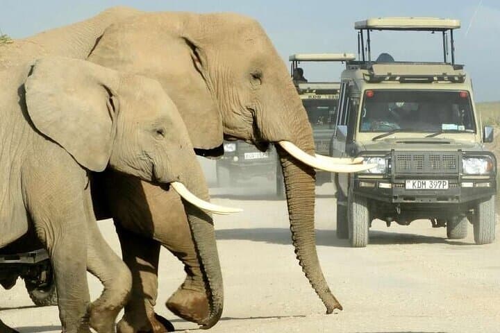 5-Day Luxury Kenya Safari: Nakuru, Naivasha, Hell's Gate & Masai Mara
