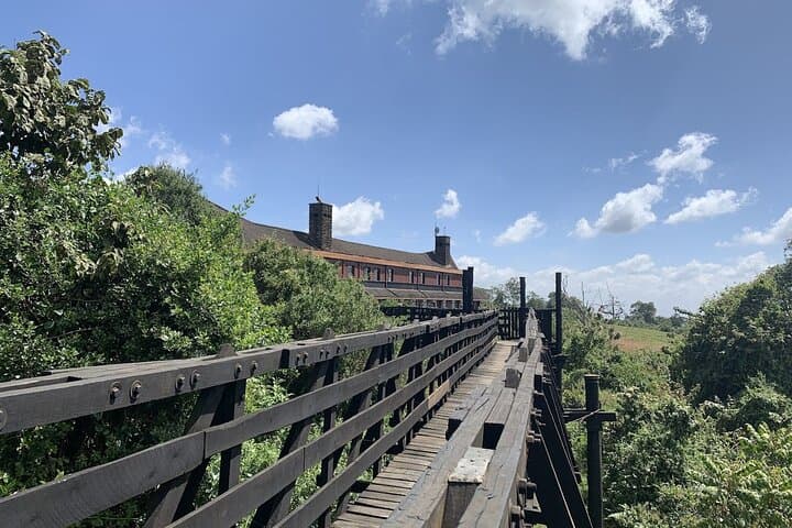 Aberdare National Park Day Tour from Nairobi — Game Drives & Treetops Experience photo 4