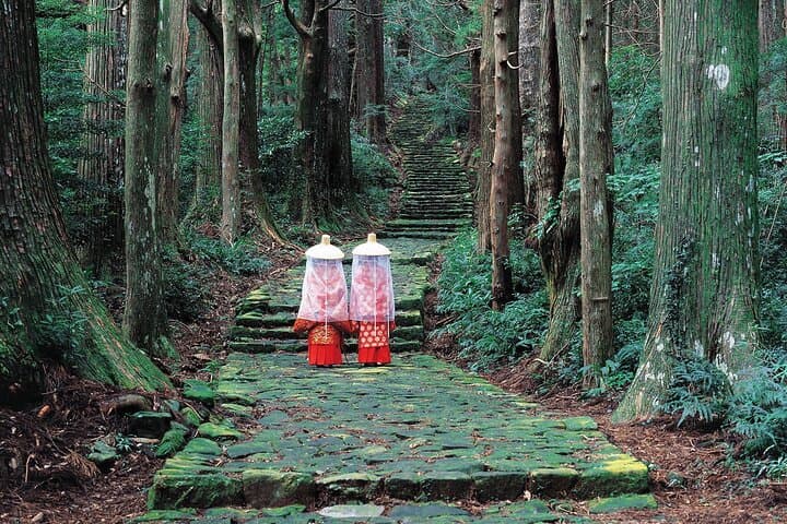 Kumano Kodo 2-Day Pilgrimage from Osaka: Nachi Falls, Shrines & Coastal Trails