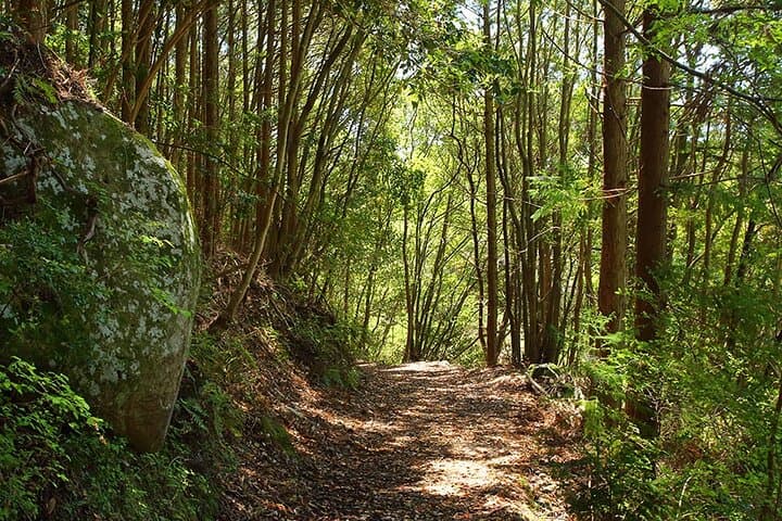 Kumano Kodo 2-Day Pilgrimage from Osaka: Nachi Falls, Shrines & Coastal Trails photo 2