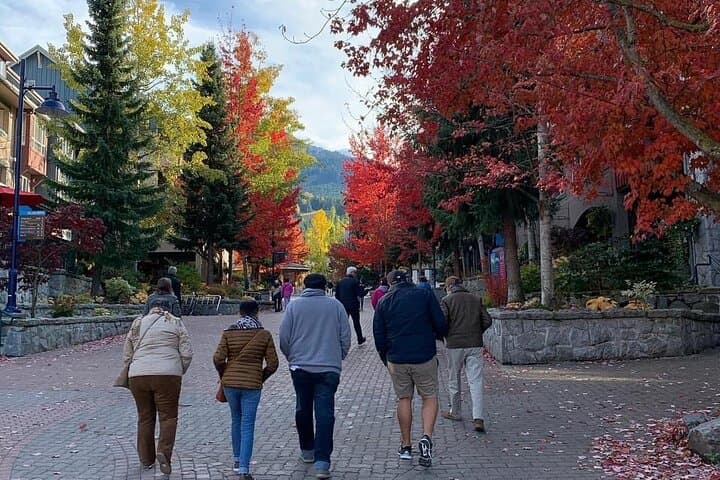 Four-Hour Private Vancouver Tour for Solo Travelers photo 6