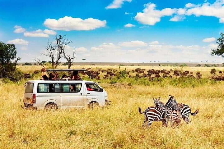 3-Day Game Drive Safari in Maasai Mara From Nairobi