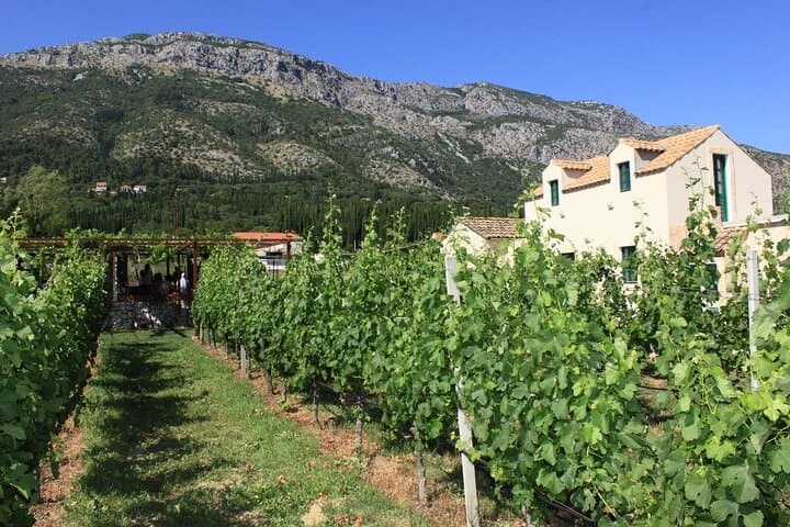 Konavle Valley Wine Tasting and Panoramic Drive from Cavtat photo 4