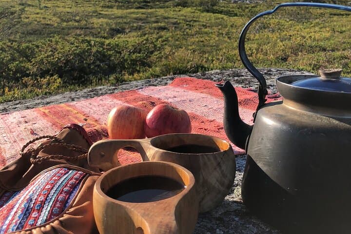 Midnight Sun Hike in Levi: Arctic Evening Trek to Kätkä Viewpoint photo 3
