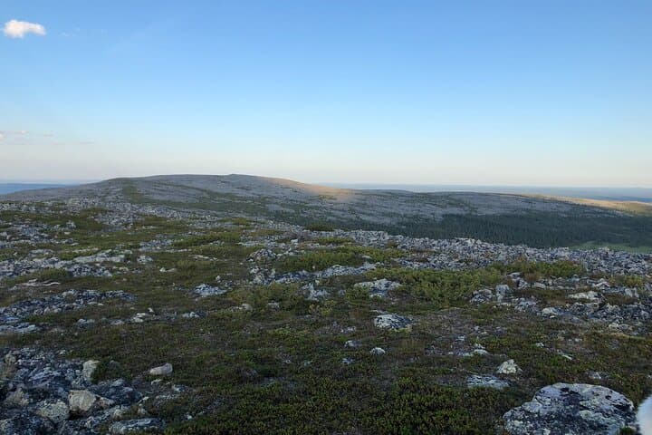 Midnight Sun Hike in Levi: Arctic Evening Trek to Kätkä Viewpoint photo 4