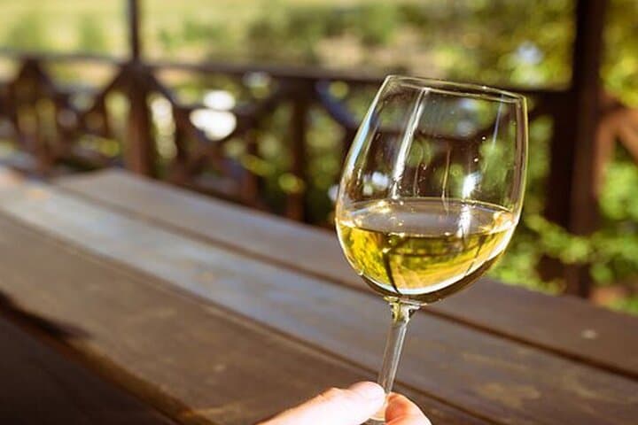 Cape Town Winelands & Cheetah Outreach: Full-Day Conservation and Wine Tour photo 2