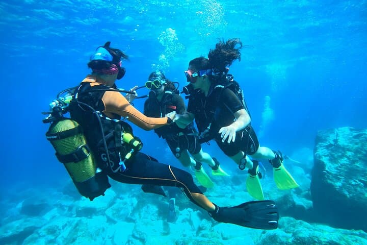Beginner Scuba in Sithonia: Calm Bays, Colorful Reefs & Small-Group PADI Dives photo 2