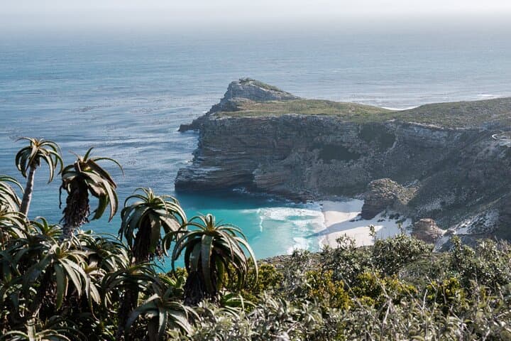 10-Day All-Inclusive Luxury Cape Town & Kruger Experience — Safari, Winelands & Cape Peninsula photo 3