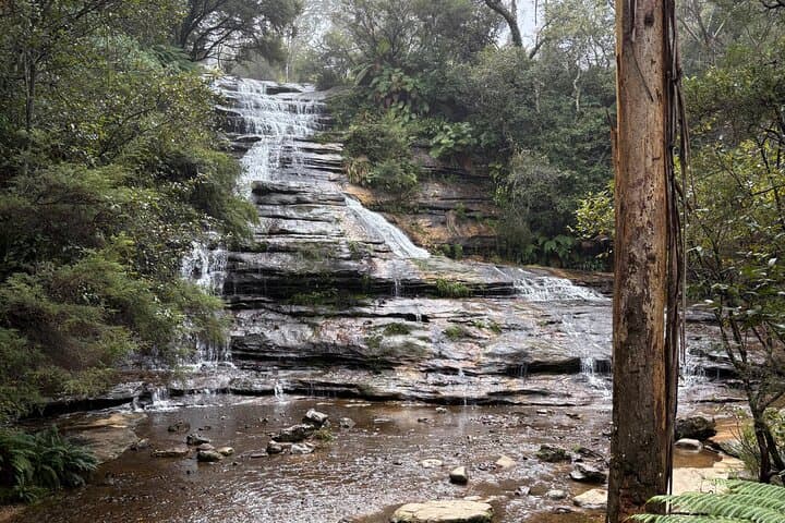 Blue Mountains Scenic World Day Tour from Sydney: Three Sisters, Wentworth Falls & Lunch photo 4