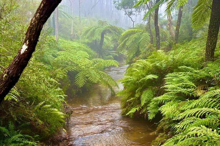 Blue Mountains Scenic World Day Tour from Sydney: Three Sisters, Wentworth Falls & Lunch photo 3