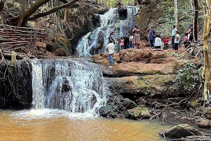 Karura Forest Walking Tour Nairobi: Waterfalls, Caves & Urban Trails photo 1