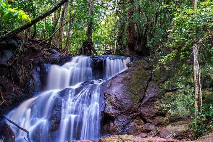 Karura Forest Walking Tour Nairobi: Waterfalls, Caves & Urban Trails photo 2