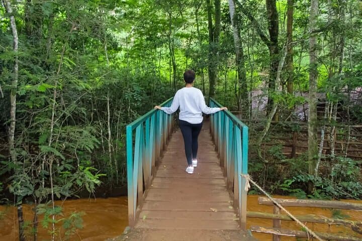Karura Forest Walking Tour Nairobi: Waterfalls, Caves & Urban Trails photo 3