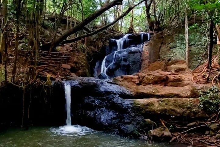 Karura Forest Walking Tour Nairobi: Waterfalls, Caves & Urban Trails photo 4